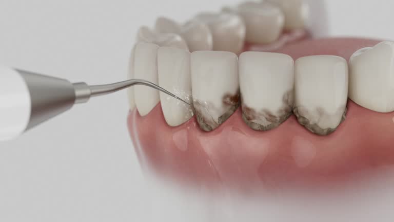Reliable Dental contractor in Kenai, AK by Dentist Open Now